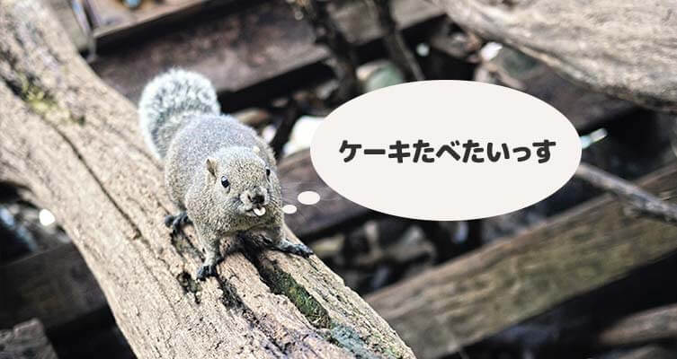 ブログ用素材制作5